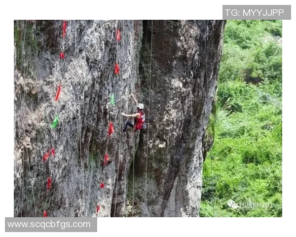 重庆攀岩队在全国速度排行榜中荣获第五名展现出卓越实力与团队精神